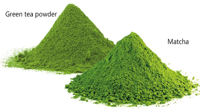 Phân biệt bột matcha và bột trà xanh
